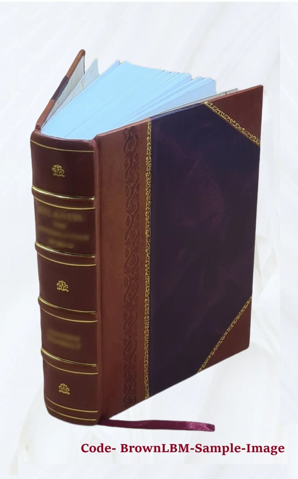 Bamboo Selected readings in American military history for use in support of the General military science curriculum Senior Division ROTC Par. 17b AtP 145-60. v.1. Volume v.1 1953 [Leather